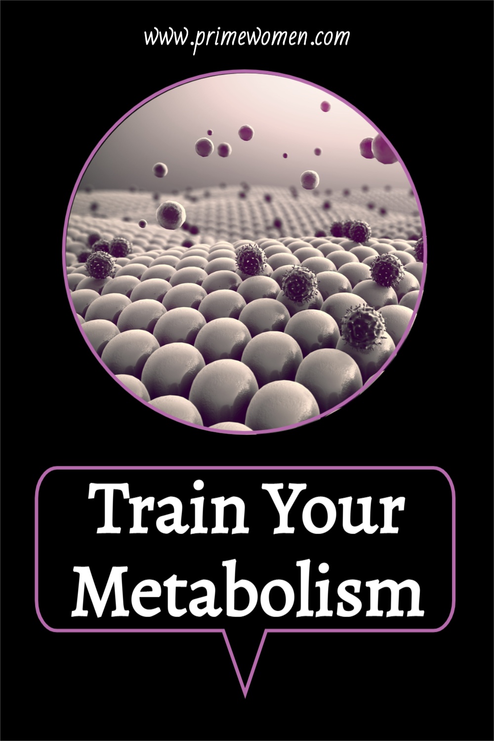 Train-Your-Metabolism