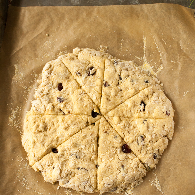 A little holiday baking. In a jiffy: 5 Ingredient Eggnog Cranberry Scones via @TspCurry