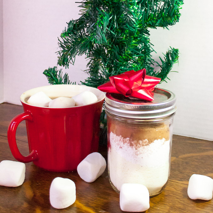 How to Make Homemade Hot Cocoa Mix | @TspCurry