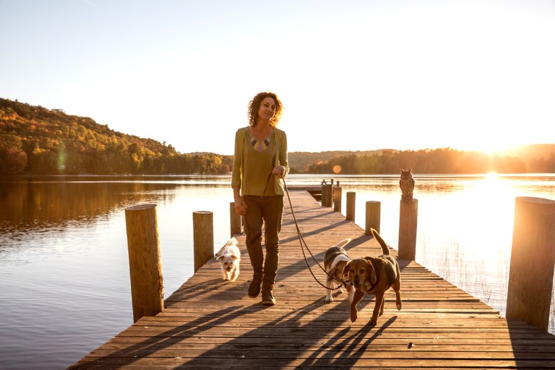 woman walking her dogs on a pier